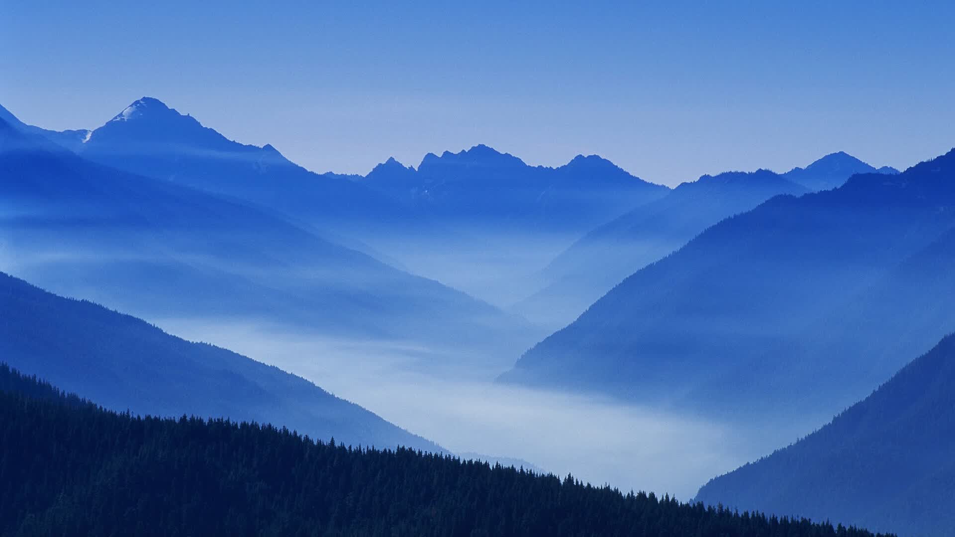 北京考研培训基地（北京考研培训机构有哪些）